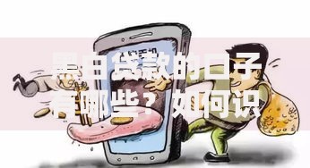 黑白贷款的口子有哪些？如何识别风险与正规渠道