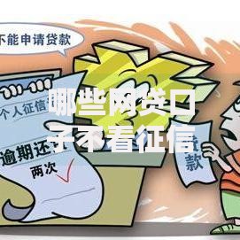 哪些网贷口子不看征信的？真实评测与申请攻略