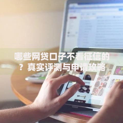 哪些网贷口子不看征信的？真实评测与申请攻略
