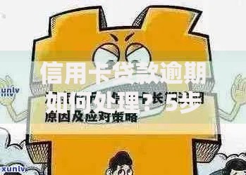 信用卡贷款逾期如何处理？5步解决债务危机指南