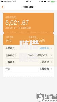 随借随还易通过贷款口子有哪些平台推荐？