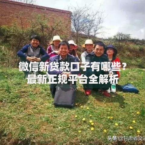 微信新贷款口子有哪些？最新正规平台全解析