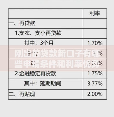 刚出的贷款新口子有哪些申请条件和利率优势？