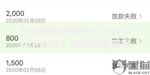 负债逾期还有什么平台可以下款的？正规渠道深度解析