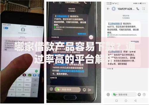 哪家借款产品容易下款？通过率高的平台解析