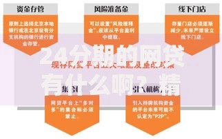 24分期的网贷有什么啊？精选平台及申请攻略解析