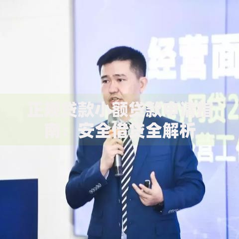 正规贷款小额贷款申请指南：安全借贷全解析