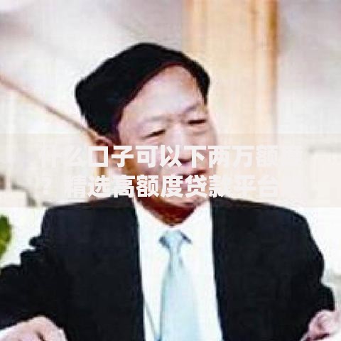 什么口子可以下两万额度？精选高额度贷款平台解析