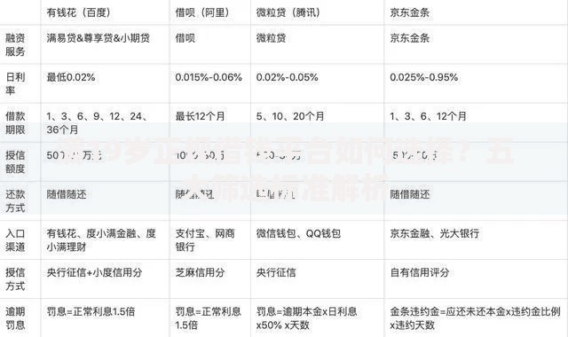 满19岁正规借钱平台如何选择？五大筛选标准解析