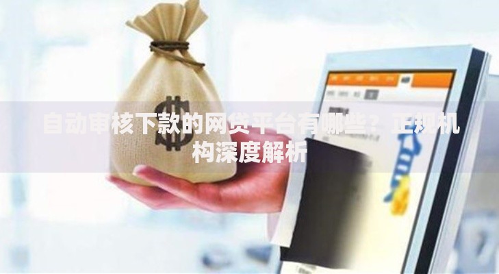 自动审核下款的网贷平台有哪些？正规机构深度解析