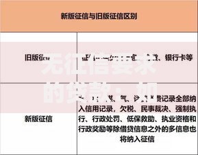 无征信要求的贷款：如何申请与风险防范指南