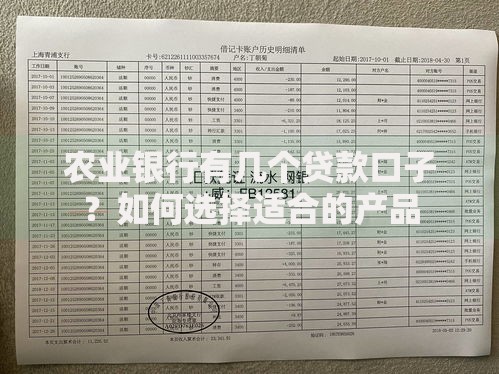 农业银行有几个贷款口子？如何选择适合的产品