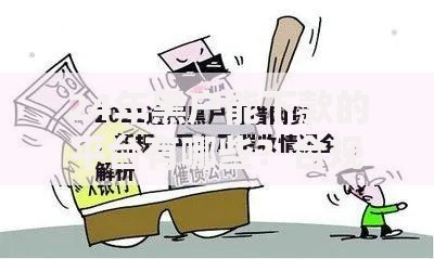 24年黑户能下款的平台有哪些？合规借贷渠道深度解析