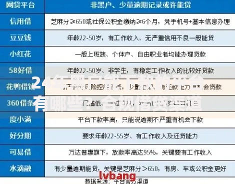 24年黑户能下款的平台有哪些？合规借贷渠道深度解析
