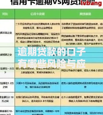 逾期贷款的口子有哪些风险与应对策略？