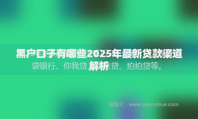 黑户口子有哪些2025年最新贷款渠道解析