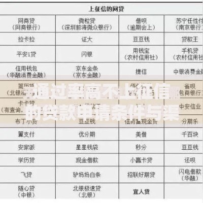 通过率高不上征信的贷款申请条件与渠道解析