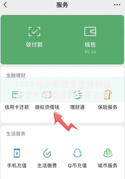 1000元小额微信借钱利息多少？详细计算与平台对比分析