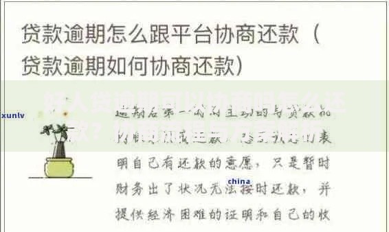 好人贷逾期可以协商吗怎么还款？协商流程与方案解析