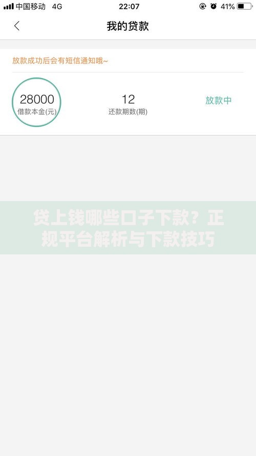 贷上钱哪些口子下款？正规平台解析与下款技巧