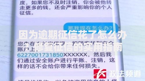 因为逾期征信花了怎么办？修复征信的实用指南