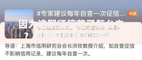 因为逾期征信花了怎么办？修复征信的实用指南