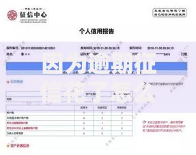 因为逾期征信花了怎么办？修复征信的实用指南