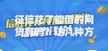 征信花了能借的网贷有吗？这几种方案助你解决资金难题