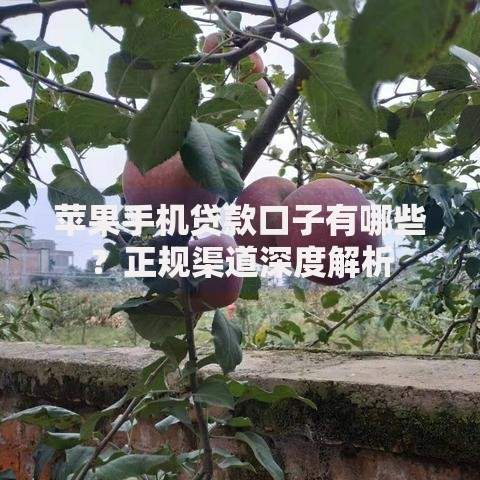 苹果手机贷款口子有哪些？正规渠道深度解析