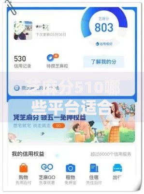 芝麻分510哪些平台适合短期资金周转？低分用户借贷指南
