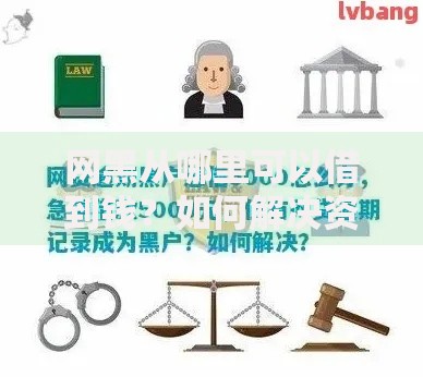 网黑从哪里可以借到钱？如何解决资金难题