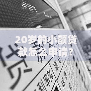 20岁的小额贷款怎么申请？条件、利率、风险全解析