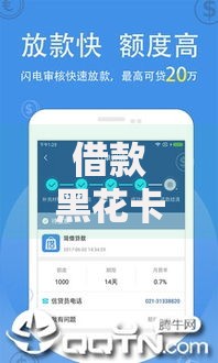 借款黑花卡类似的口子如何选择？安全借贷全解析
