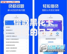 借款黑花卡类似的口子如何选择？安全借贷全解析
