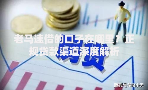 老马速借的口子在哪里？正规贷款渠道深度解析