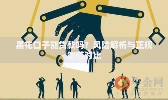 黑花口子能货款吗？风险解析与正规渠道对比