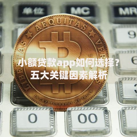 小额贷款app如何选择？五大关键因素解析