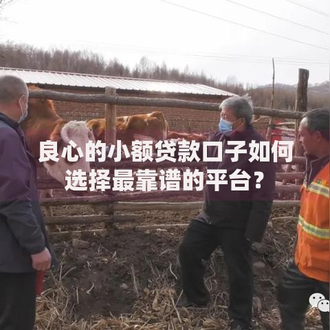 良心的小额贷款口子如何选择最靠谱的平台？