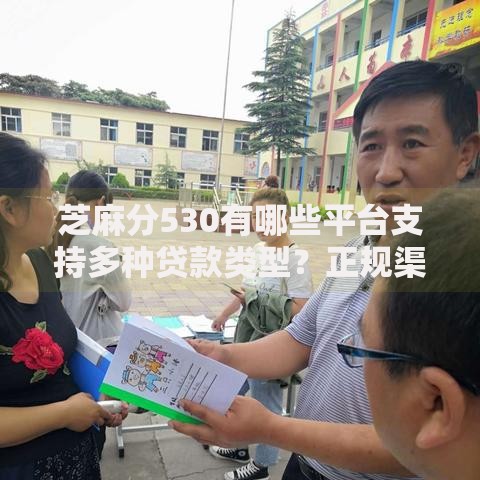 芝麻分530有哪些平台支持多种贷款类型？正规渠道盘点