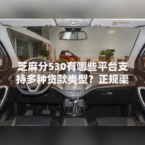 芝麻分530有哪些平台支持多种贷款类型？正规渠道盘点