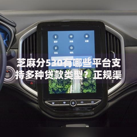 芝麻分530有哪些平台支持多种贷款类型？正规渠道盘点