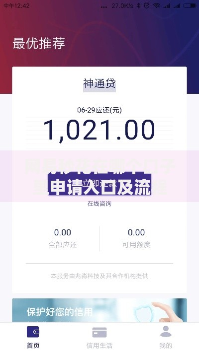 网易秒花在哪个口子里申请入口及流程详解