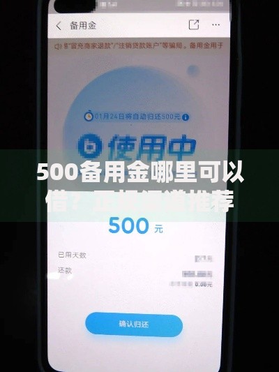 500备用金哪里可以借？正规渠道推荐及申请技巧