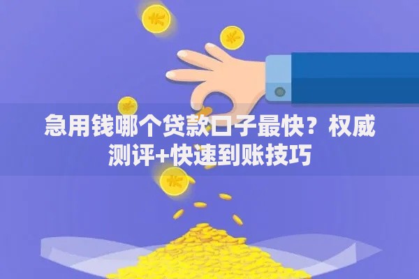 急用钱哪个贷款口子最快？权威测评+快速到账技巧