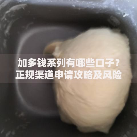 加多钱系列有哪些口子？正规渠道申请攻略及风险解析