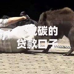 黑成碳的贷款口子12月可靠吗？深度解析风险与应对策略