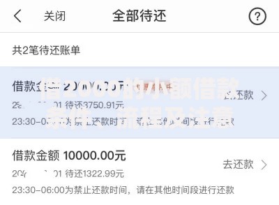 借2000的小额借款条件、流程及注意事项全解析