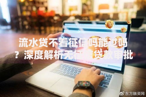 流水贷不看征信吗能过吗？深度解析无征信贷款审批要点