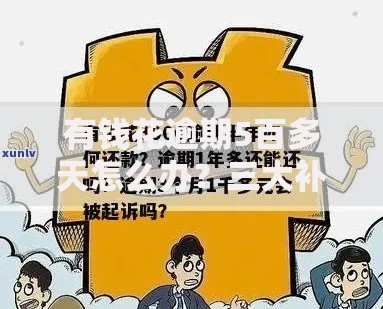 有钱花逾期5百多天怎么办？三大补救策略助你化解债务危机