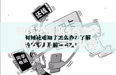 有钱花逾期5百多天怎么办？三大补救策略助你化解债务危机